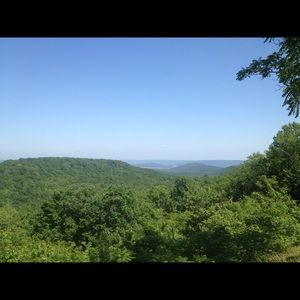 Meet your Posher, Walter